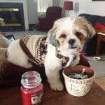 bailey